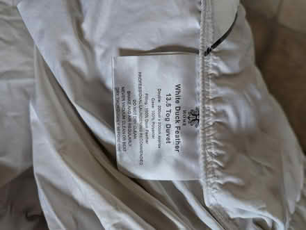 Photo of free Feather Duvet 13.5 togg (Cherry Hinton CB1) #2