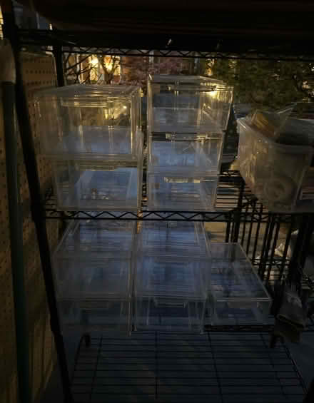 Photo of free Organizers (Park View - Colombia Heights) #1