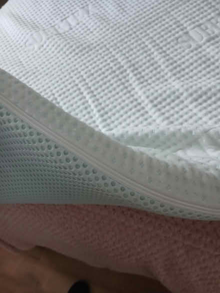 Photo of free Single mattress topper (Coventry) #1