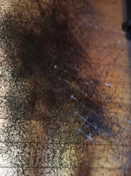 Photo of free Garden bits (Drayton PO6) #2