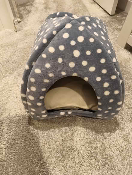 Photo of free Cat igloo bed (Weybridge KT13) #1