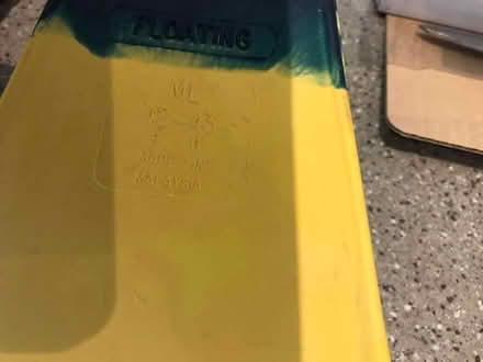 Photo of free Flippers (Shepherds Bush) #1