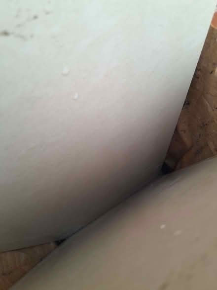 Photo of free 11 porcelain tiles (Southport PR9) #1