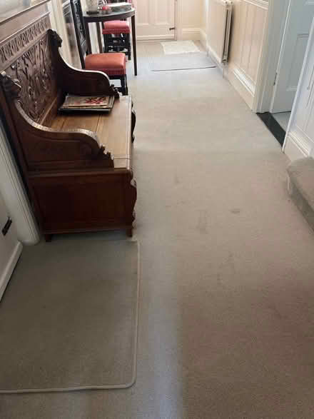 Photo of free Carpet-Grey (Waterlooville PO7) #1