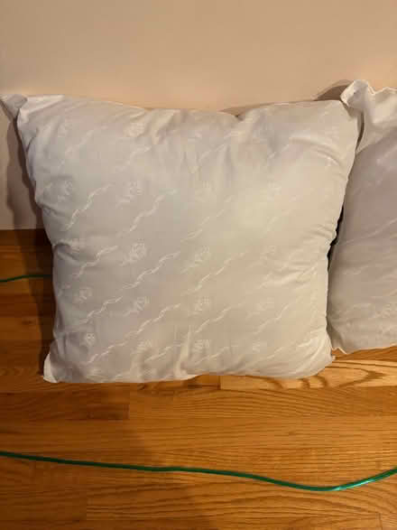 Photo of free Pillows (Fremont) #3