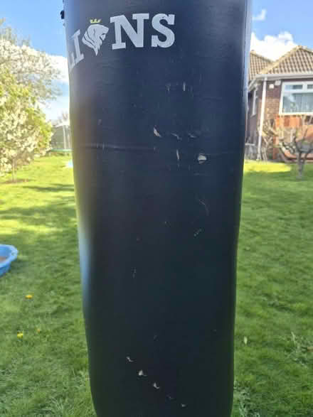 Photo of free Punch/box bag (Belle Isle LS10) #3