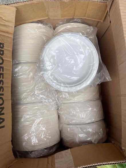 Photo of free Disposable (compostable) cups, plates etc. (Otford TN14) #3