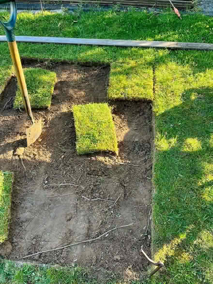 Photo of free Real lawn turf squares (Hatfield AL10) #3
