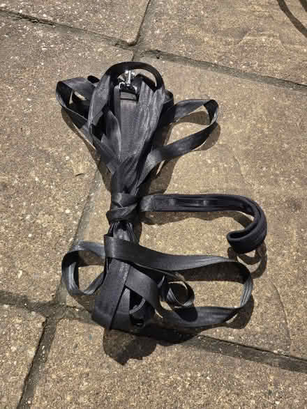 Photo of free Long dog lead - 10M (Thatcham, RG19) #1