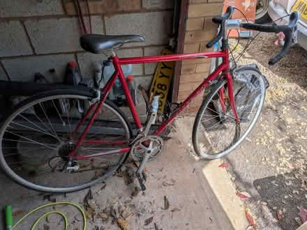 Photo of free Road bike (Droitwich WR9) #1