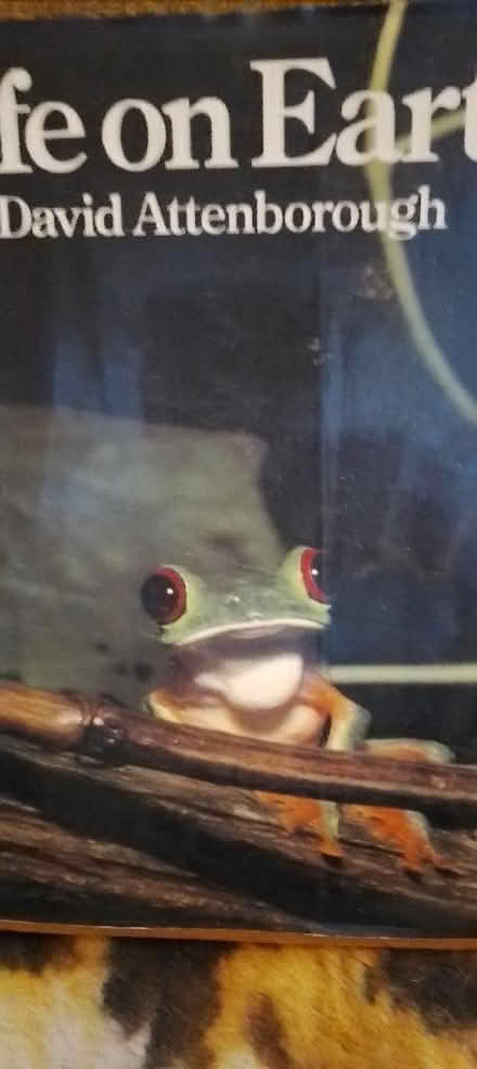 Photo of free old book (St Leonards TN38) #1