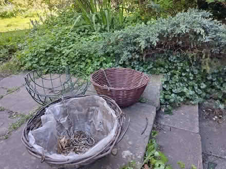 Photo of free Hanging baskets (Sutton Courtenay OX14) #2
