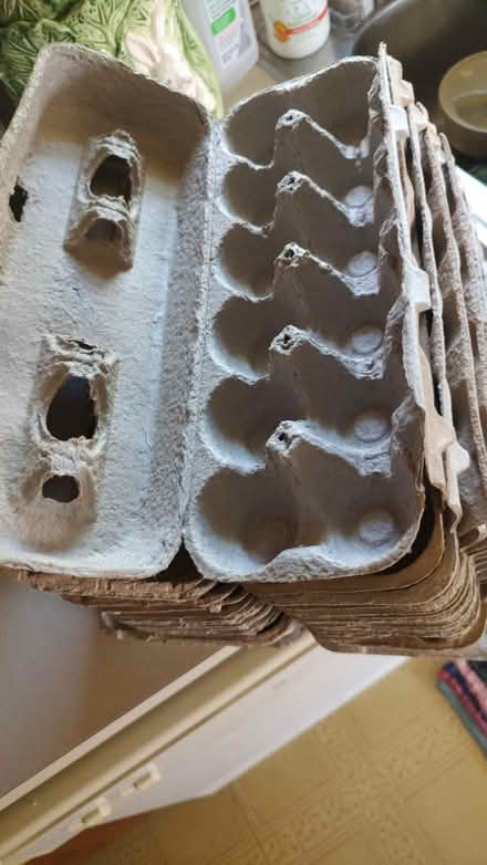 Photo of free Egg Cartons (Knoxville/Brunswick (21758)) #1