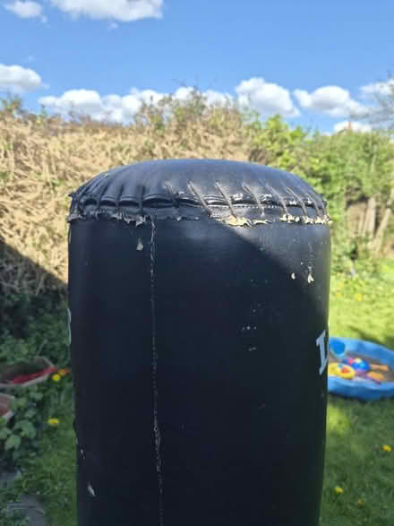 Photo of free Punch/box bag (Belle Isle LS10) #4