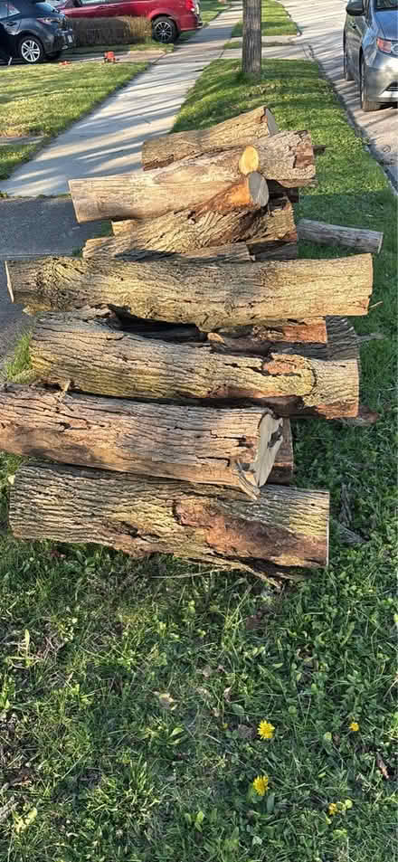 Photo of free Hardwood logs (Bedford) #1