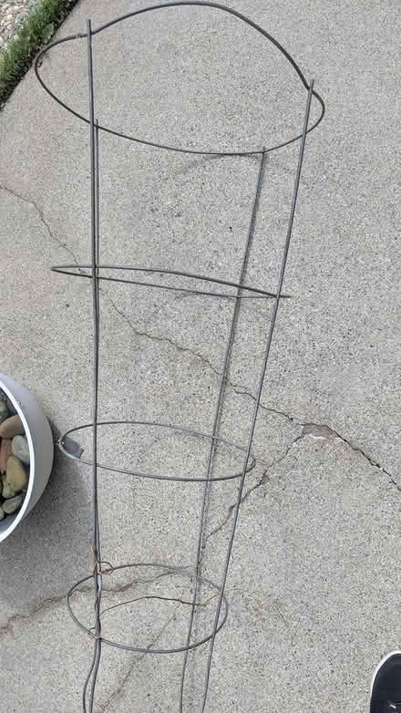 Photo of free 5 tt heavy duty tomato cage (Cupertino/West San Jose) #2