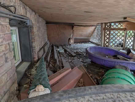 Photo of free Garden, hydroponic, brick, stone (Downtown Oak Park) #3