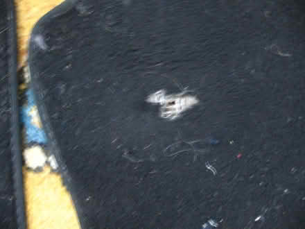 Photo of free Set of 4 Car Mats VW Golf 2016 (Coppull PR7) #2