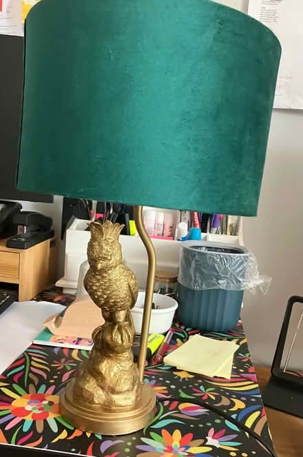 Photo of free Parrot lamp 🦜 (Waddon) #3