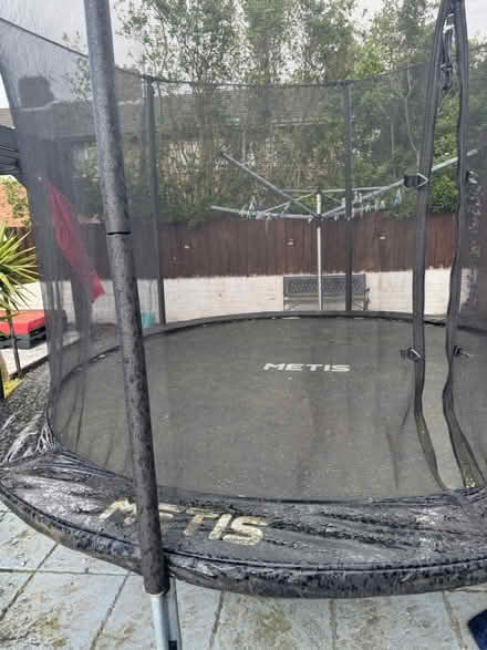 Photo of free Trampoline (Seaforth) #1