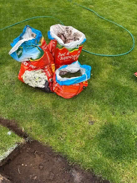 Photo of free Turf (Hitchin Herts) #2