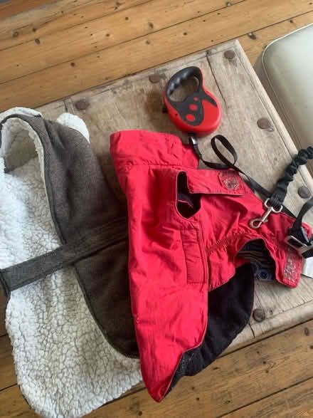 Photo of free Dog accessories (M32) #1