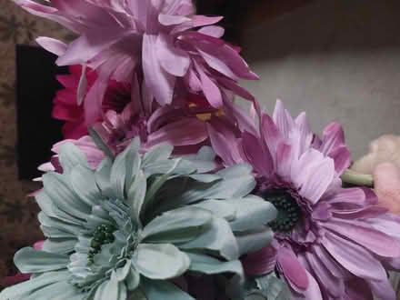 Photo of free Artificial Flowers (Colchester CO4) #2