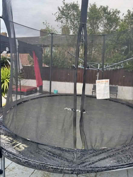 Photo of free Trampoline (Seaforth) #2