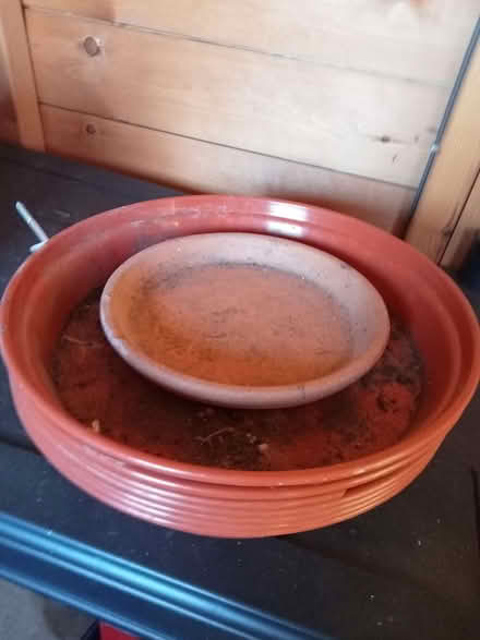 Photo of free Garden bits (Drayton PO6) #4