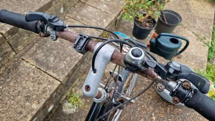 Photo of free Ladies' mountain bike (Hove Park area BN3) #2