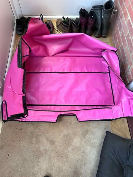 Photo of free Fiat 500L boot liner (Kempshott Rise) #2