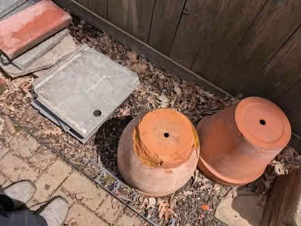 Photo of free Garden, hydroponic, brick, stone (Downtown Oak Park) #2