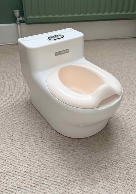 Photo of free Child’s potty (West Ealing (W13)) #1