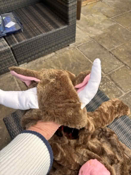 Photo of free Case of dress up clothese (UpperHale GU9) #2