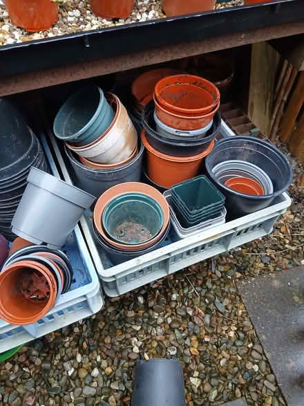 Photo of free flower pots lots of different sizes (Hadley TF1) #1