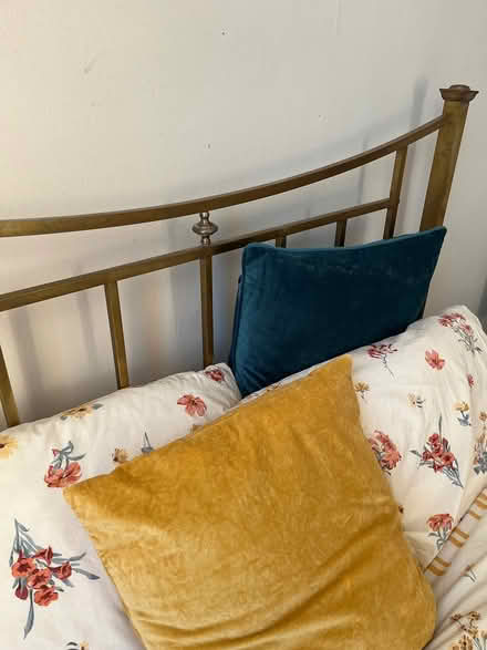Photo of free Brass bed + Matress (Upper Holloway N19) #3