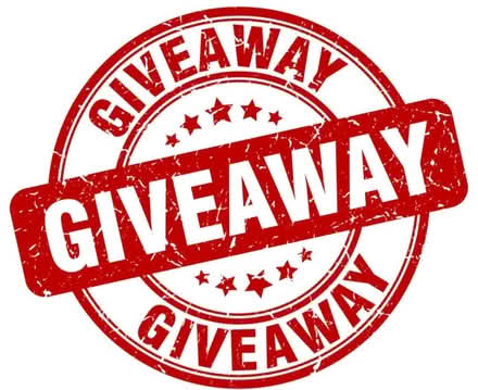 Photo of free Queen sofa bed (Pittsford) #1