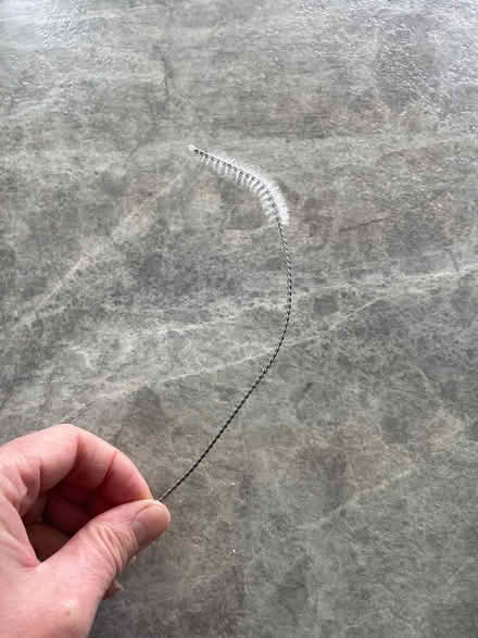 Photo of free Straw cleaner (BuryStEds IP33) #1