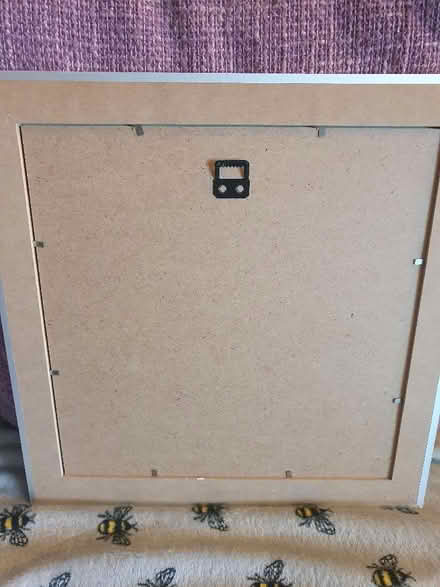 Photo of free Picture frame (Sinfin DE24) #2