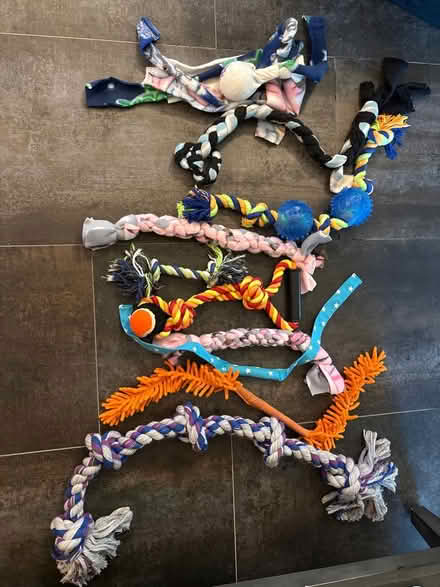 Photo of free Misc rope dog toys (Glen Gardner, NJ) #1
