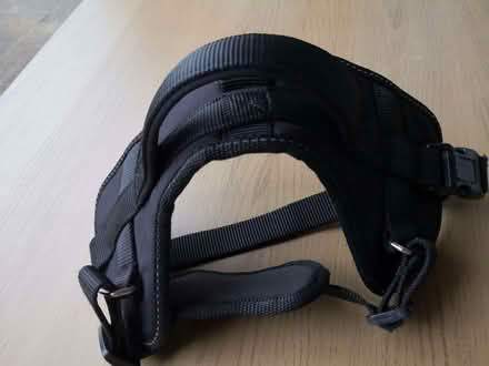 Photo of free Dog Harnass (Burneside LA9) #2