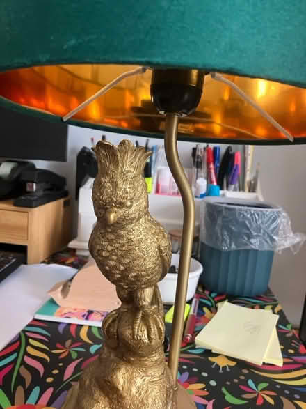 Photo of free Parrot lamp 🦜 (Waddon) #2