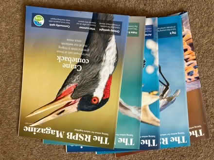 Photo of free 5x 2024 RSPB magazines (Princes Risborough HP27) #1