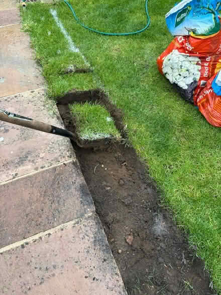 Photo of free Turf (Hitchin Herts) #1