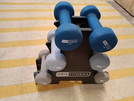 Photo of free hand weights dumbells set and stand (Westminster Drive PO21) #1