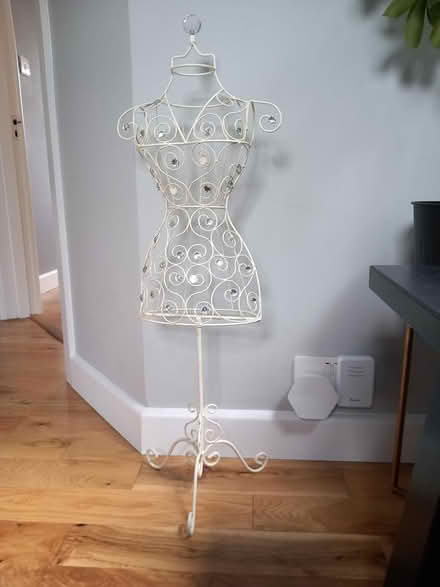Photo of free small mannequin (RG6 near Palmer Park) #1