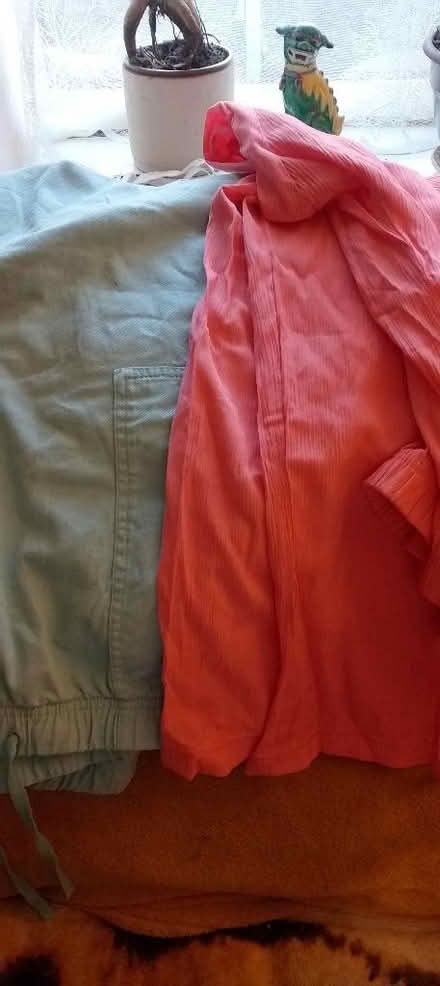 Photo of free Ladies trousers (St Leonards TN38) #1