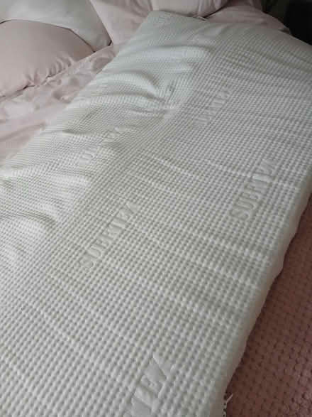 Photo of free Single mattress topper (Coventry) #3