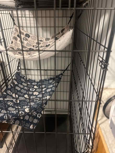 Photo of free 2 tier cat cage w/ hammocks (Chicago, il) #2