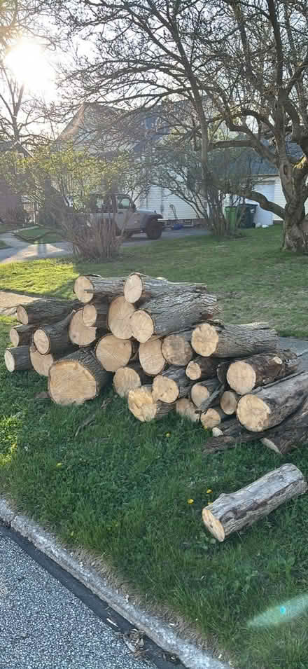 Photo of free Hardwood logs (Bedford) #2
